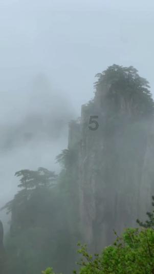 救援萌老虎