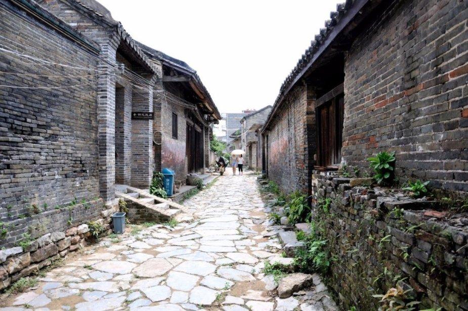 动物帮帮忙保卫家园